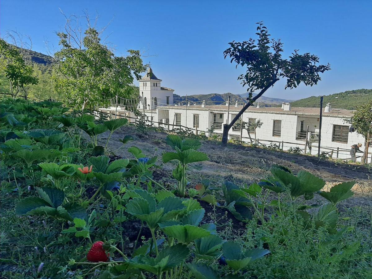 Hotel Apartamento Nueva Alcazaba Busquístar Dış mekan fotoğraf